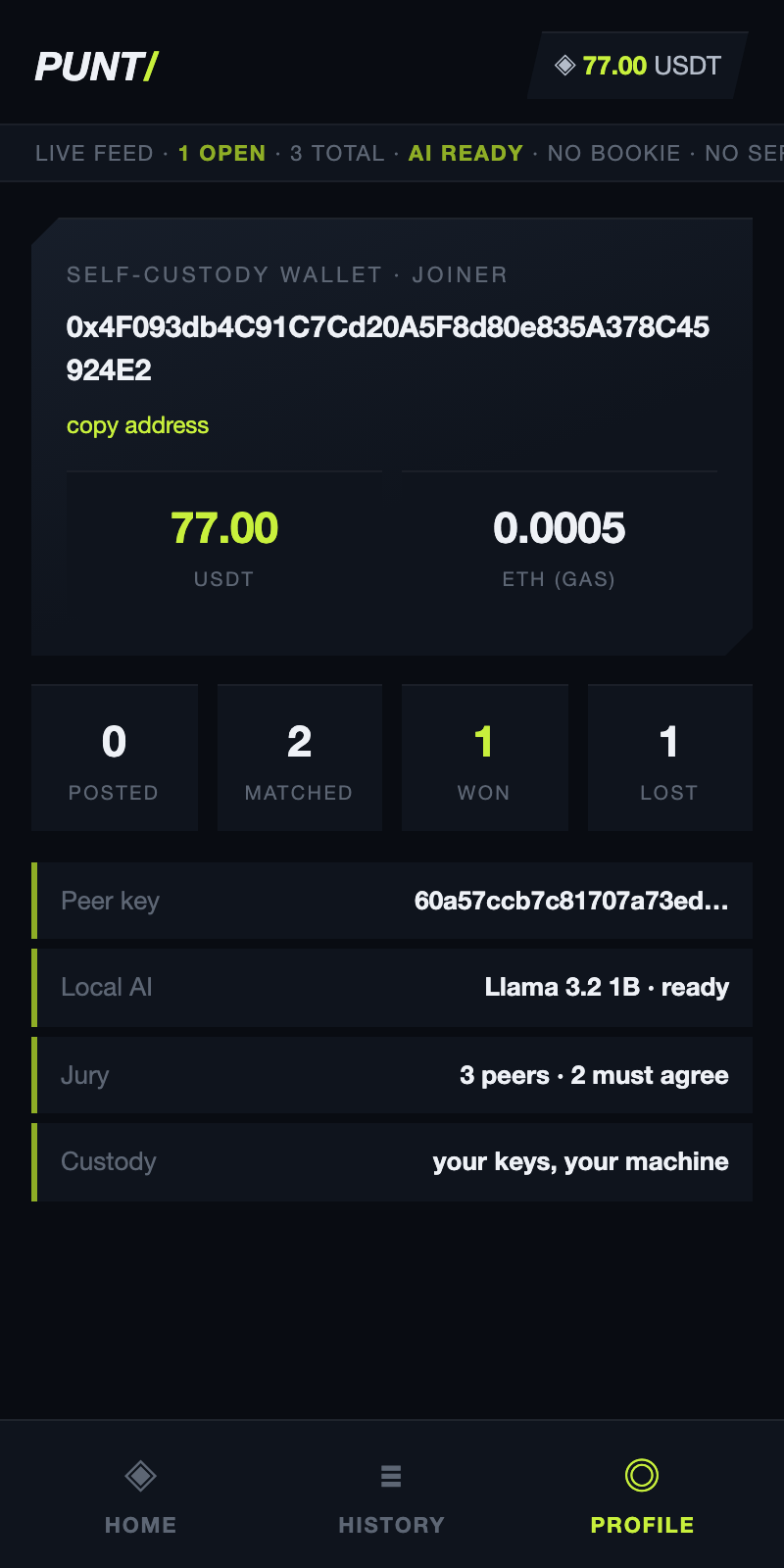 Punt profile with wallet address and USDT balance